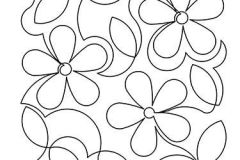 Daisies