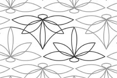 Lacy-Dragonfly