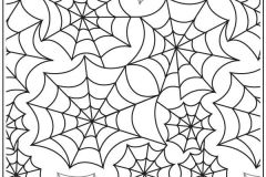 Spiderweb